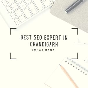 Best SEO Expert in Chandigarh